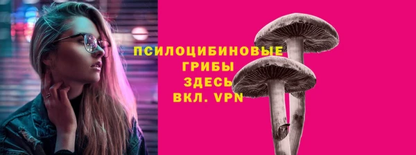 мдпв Навашино