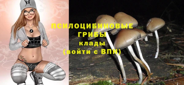 стафф Гусь-Хрустальный