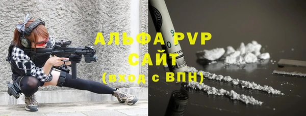 гашик Арсеньев