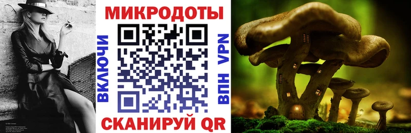 Галлюциногенные грибы MAGIC MUSHROOMS  Хилок 